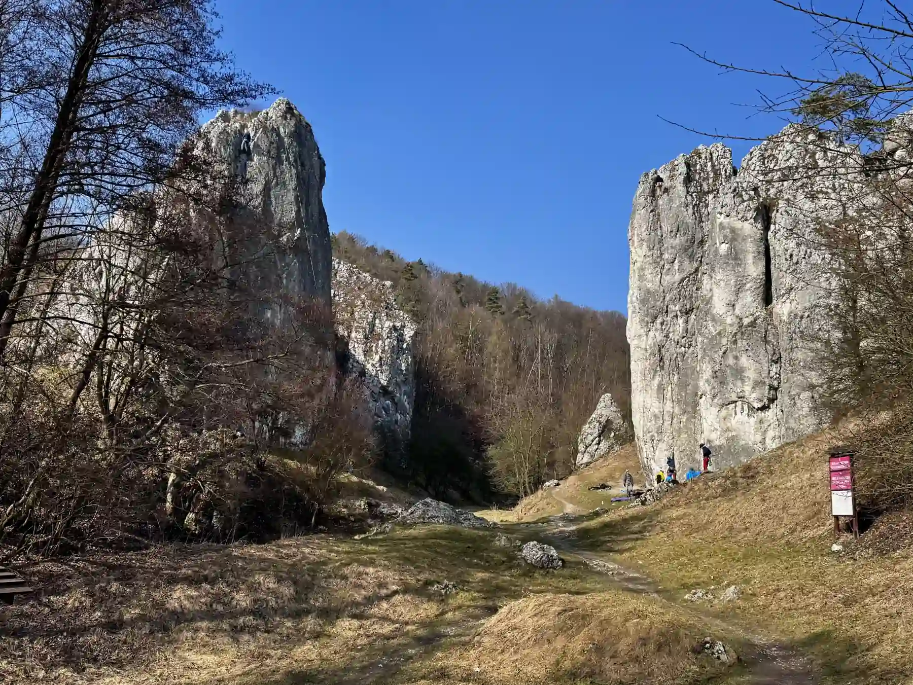 Dolina jurajska ze skałami wapiennymi